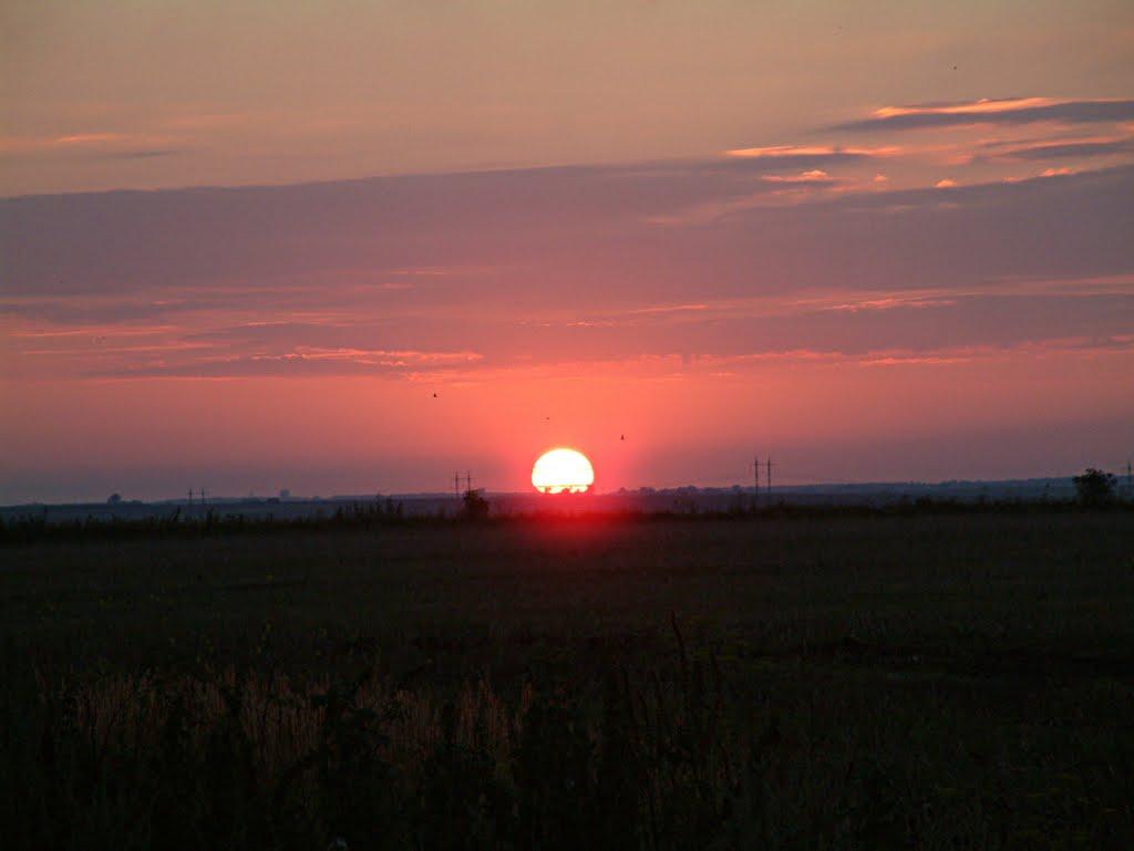 Семиківці з panoramio.com - Семиківці