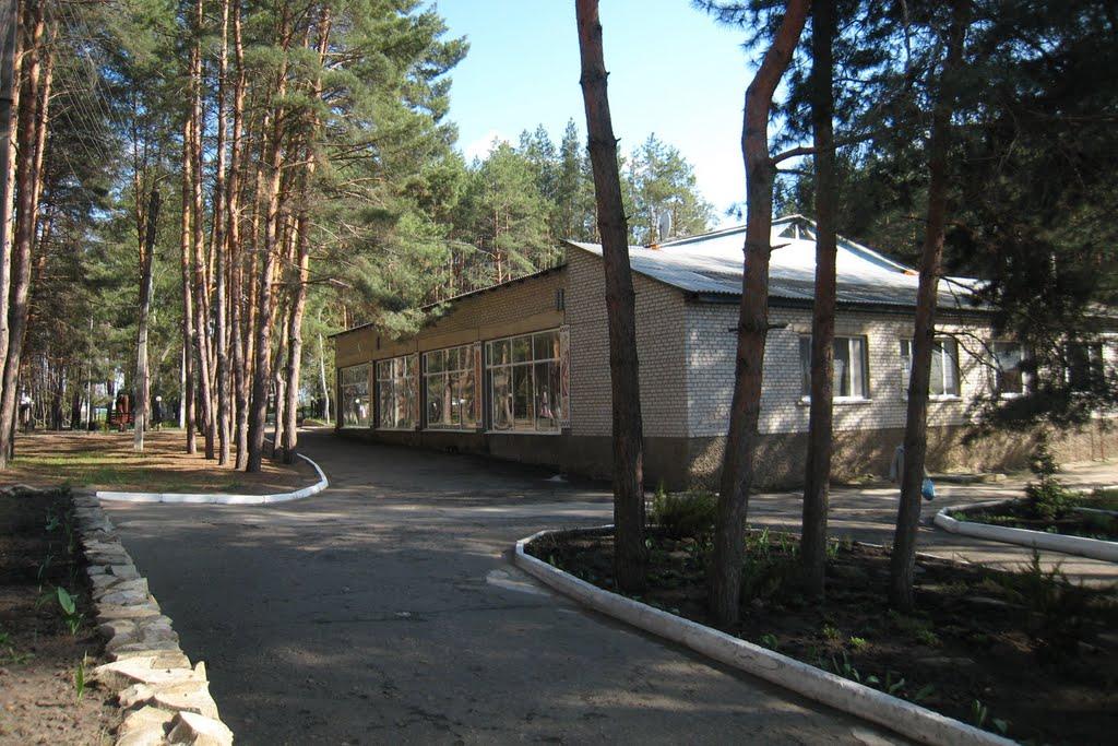 Новопсков з panoramio.com - Novopskov