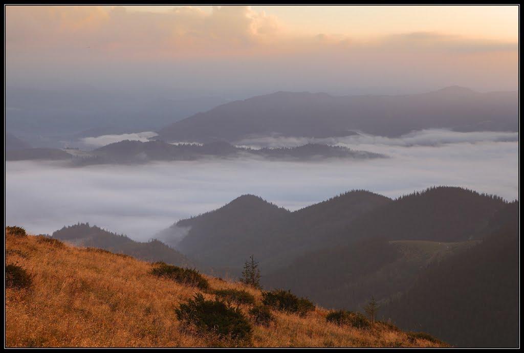 Берестечко з panoramio.com (ч.2) - Berestechko