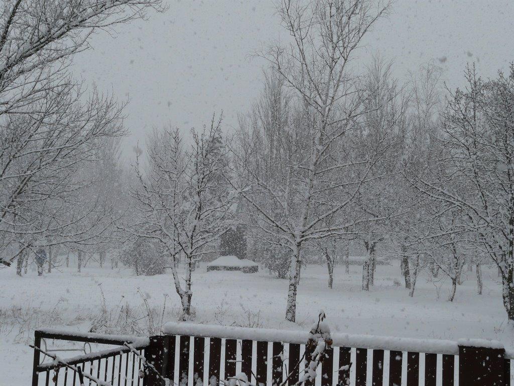 Старомлинівка з panoramio.com - Старомлинівка