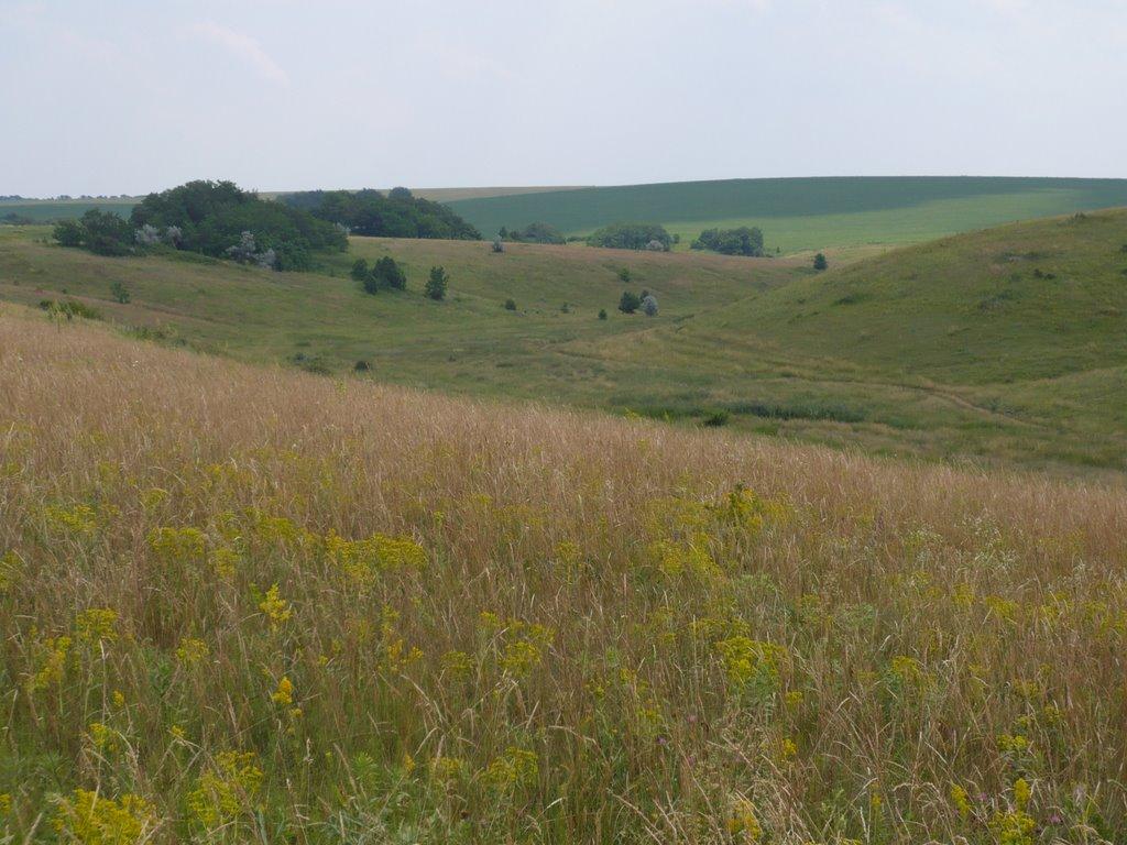 Катеринівка з panoramio.com - Катериновка