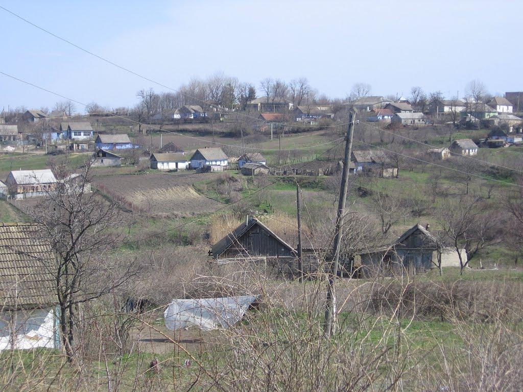 Новоолександрівка з panoramio.com - Новоолександрівка