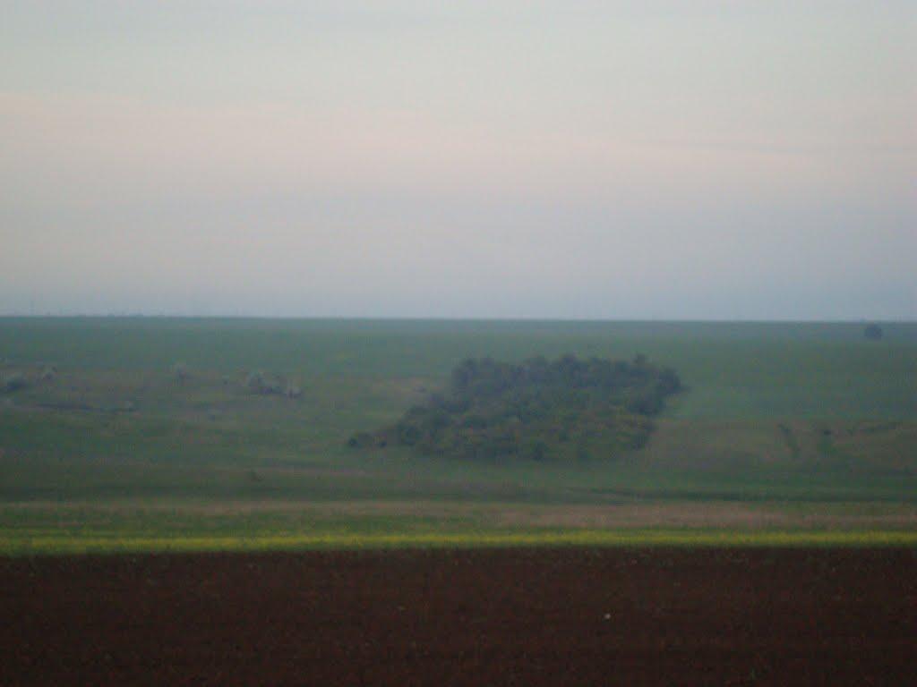 Світле з panoramio.com - Светлое