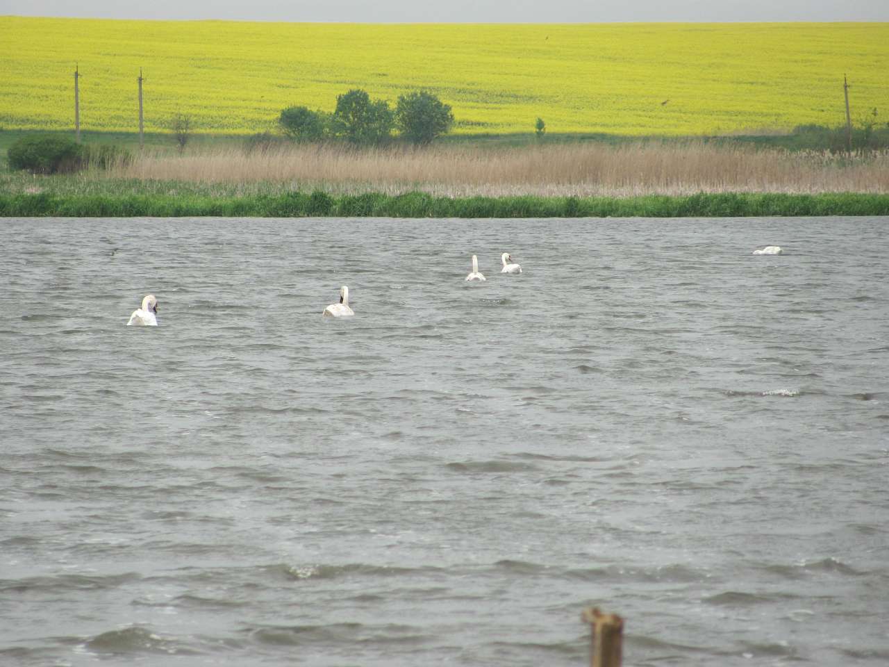 природа - Глібів