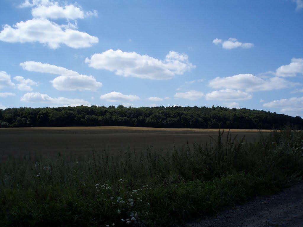 Спасів з panoramio.com - Спасів