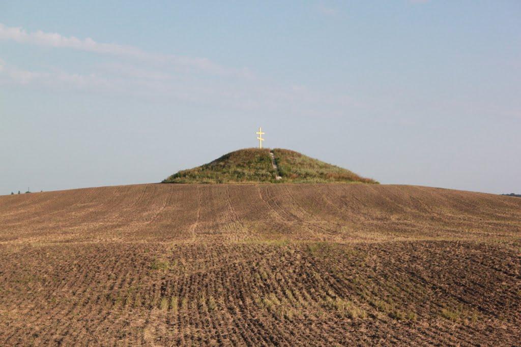 Дрозди з panoramio.com - Дрозди