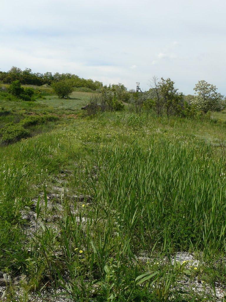 Степногірськ з panoramio.com - Степногорск