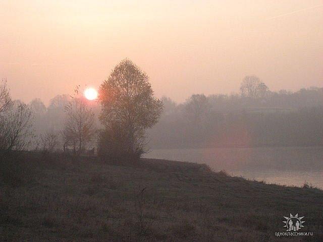 Чапля з panoramio.com - Чапля