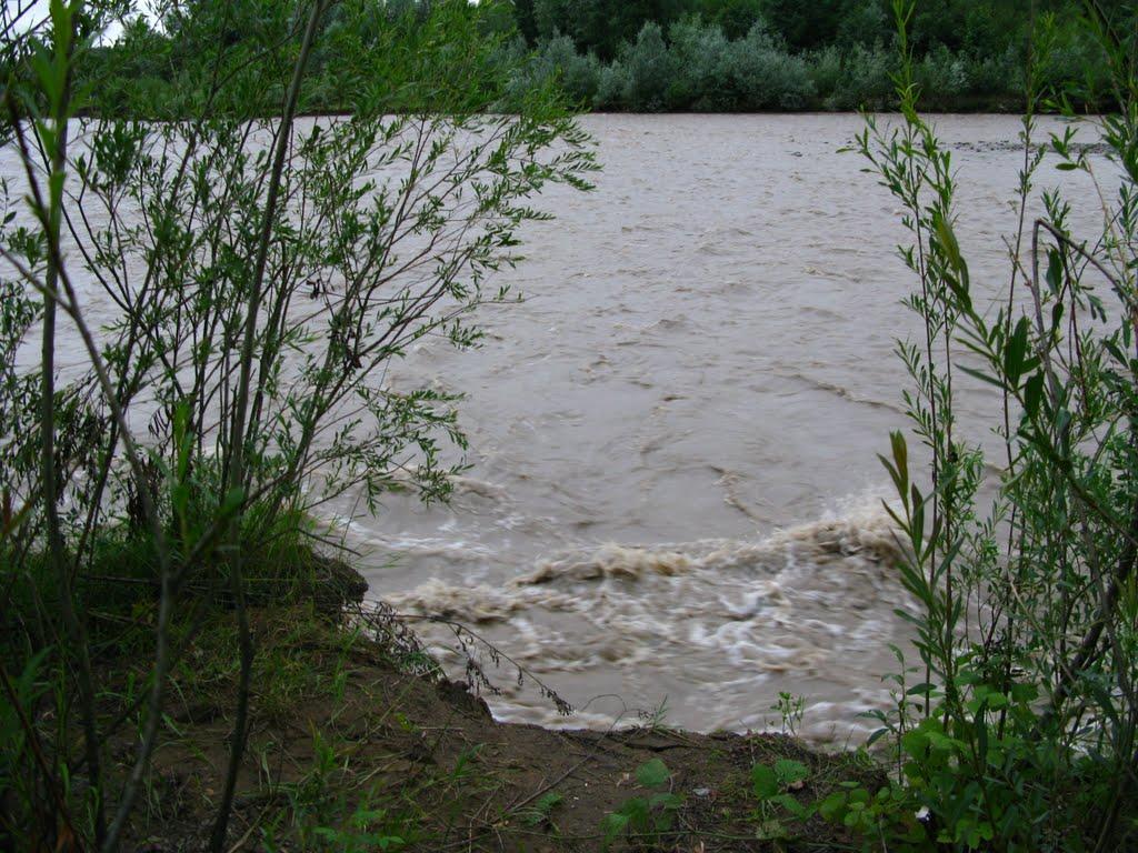Старі Богородчани з panoramio.com - Старі Богородчани