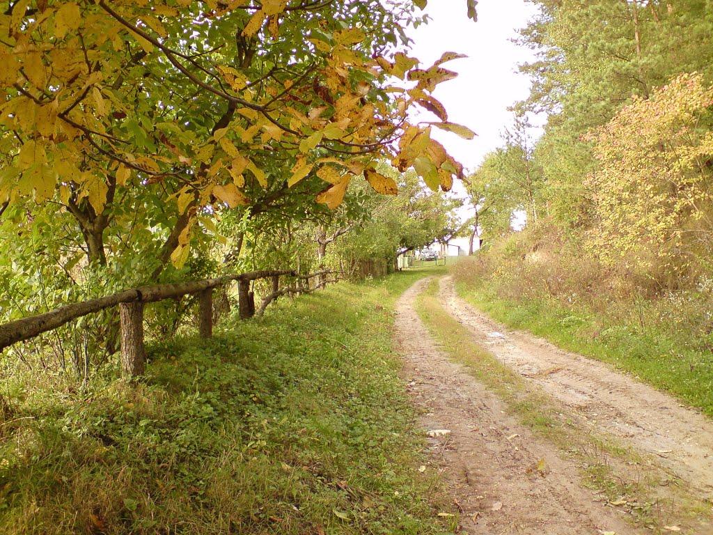 Дуляби з panoramio.com - Дулябы