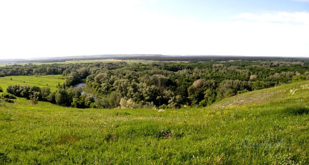 Донецьке з panoramio.com - Донецкое