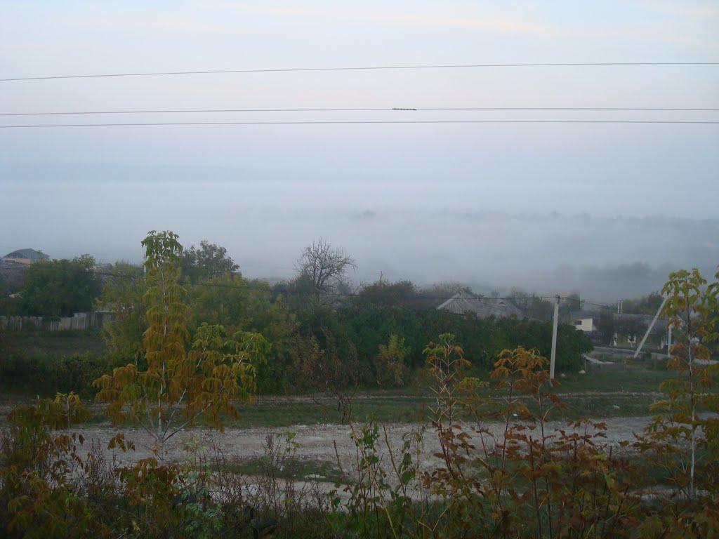 Городок з panoramio.com - Городок