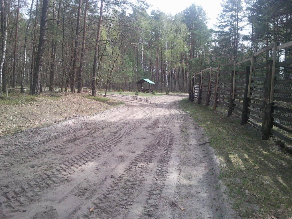 Котів з panoramio.com - Котів