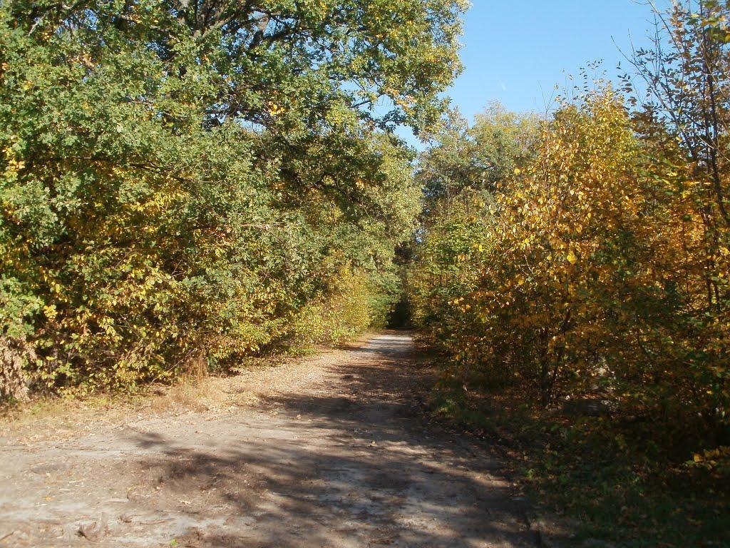 Гунча з panoramio.com - Гунча