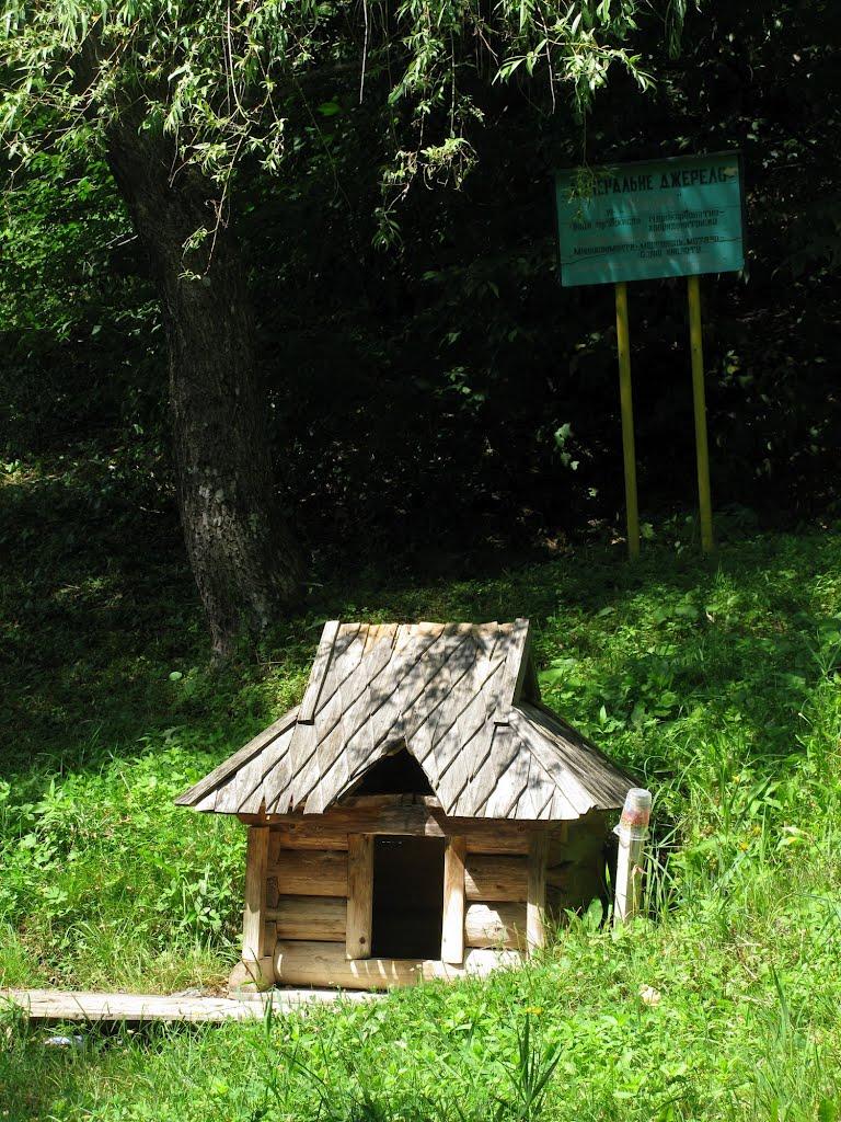 Вільховатий з panoramio.com - Вільховатий
