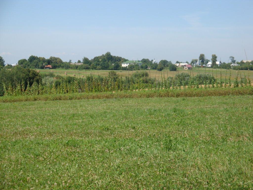 Лісна Слобідка з panoramio.com - Лісна Слобідка