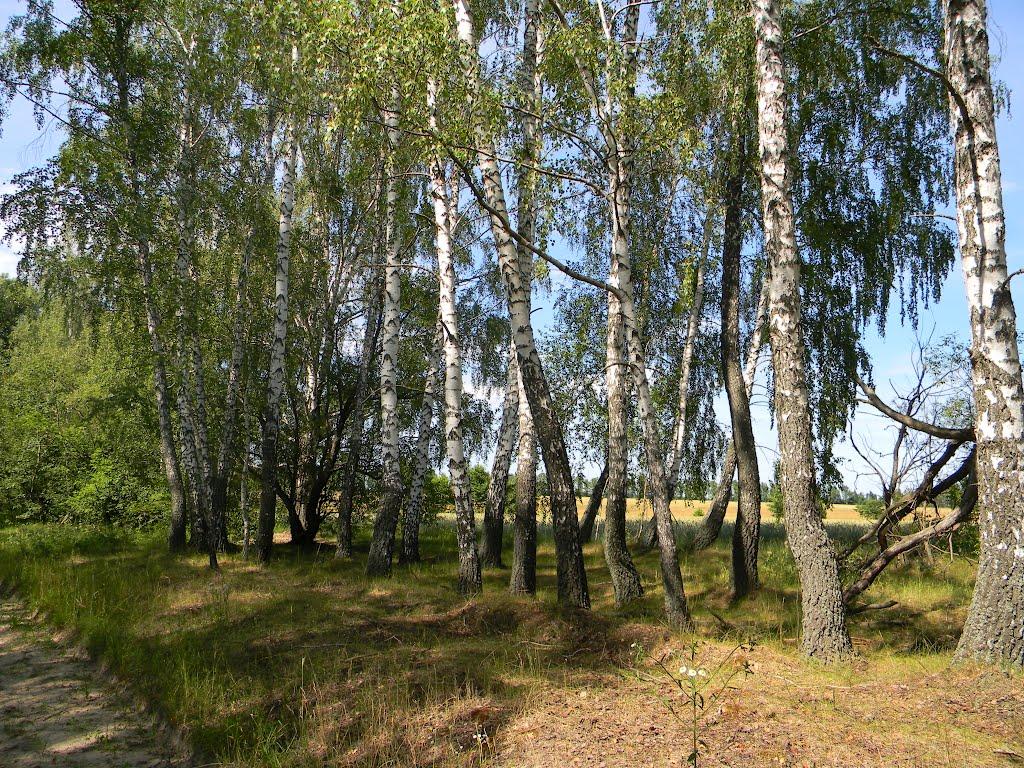 Півнівщина з panoramio.com - Півнівщина