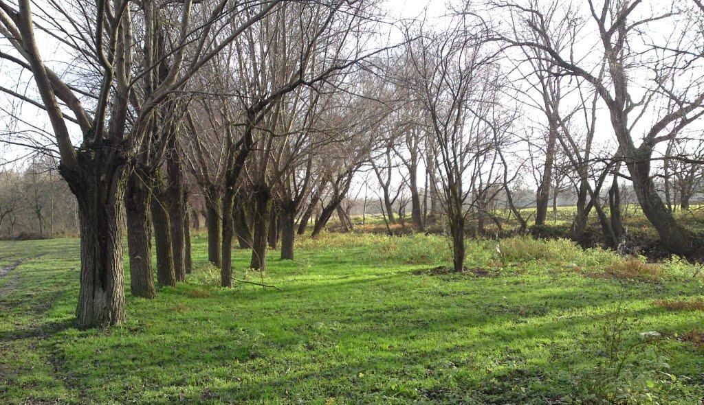 Коропець з panoramio.com - Коропец