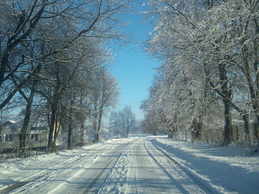 Саранчуки з panoramio.com - Saranchuky