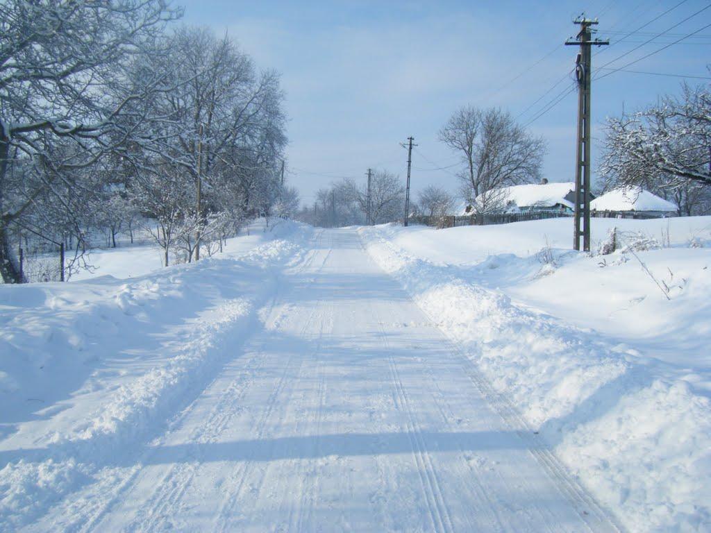 Лунка з panoramio.com - Лунка