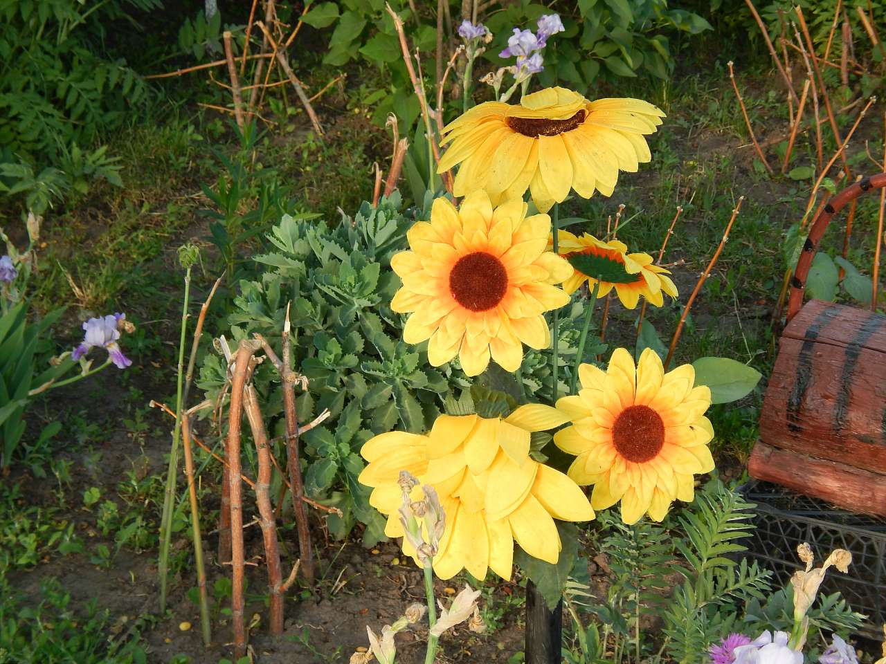 Дитячий майданчик - Липова Долина