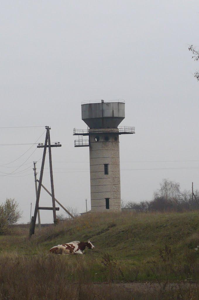 Іванівка з panoramio.com - Ивановка