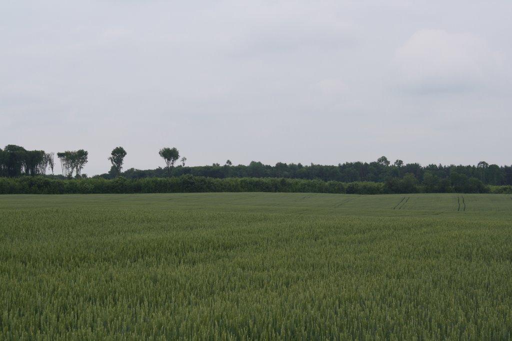 Верхівка з panoramio.com - Верхівка