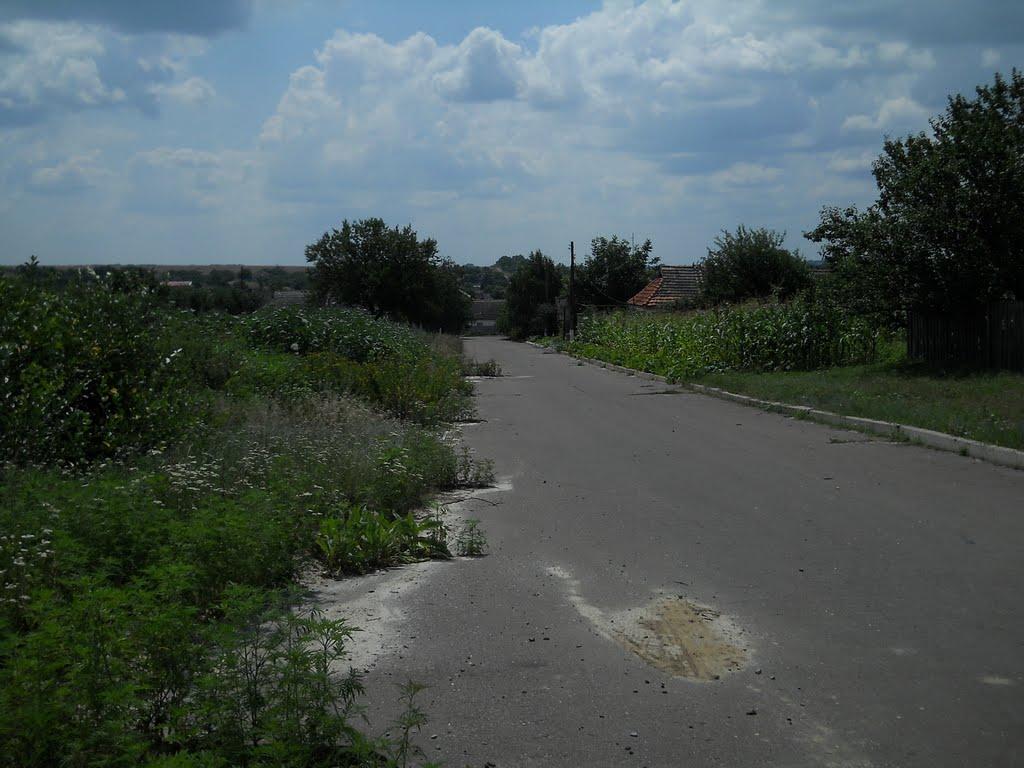 Микільське з panoramio.com - Mykilske