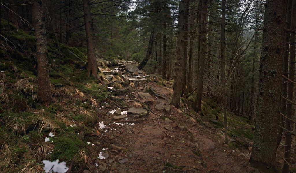 Берестечко з panoramio.com (ч.2) - Berestechko
