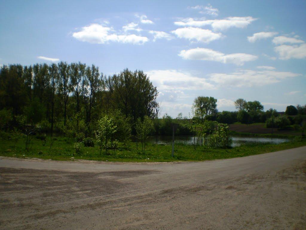 Хорлупи з panoramio.com - Хорлупи