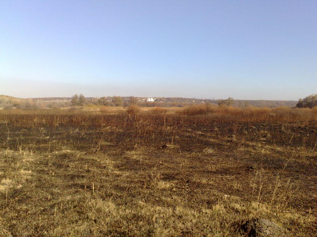 Кочеток з panoramio.com - Кочеток