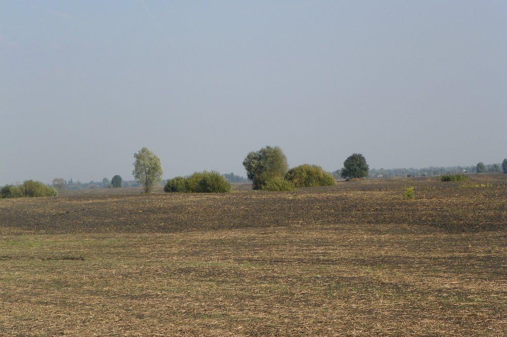 Чехівка з panoramio.com - Чеховка