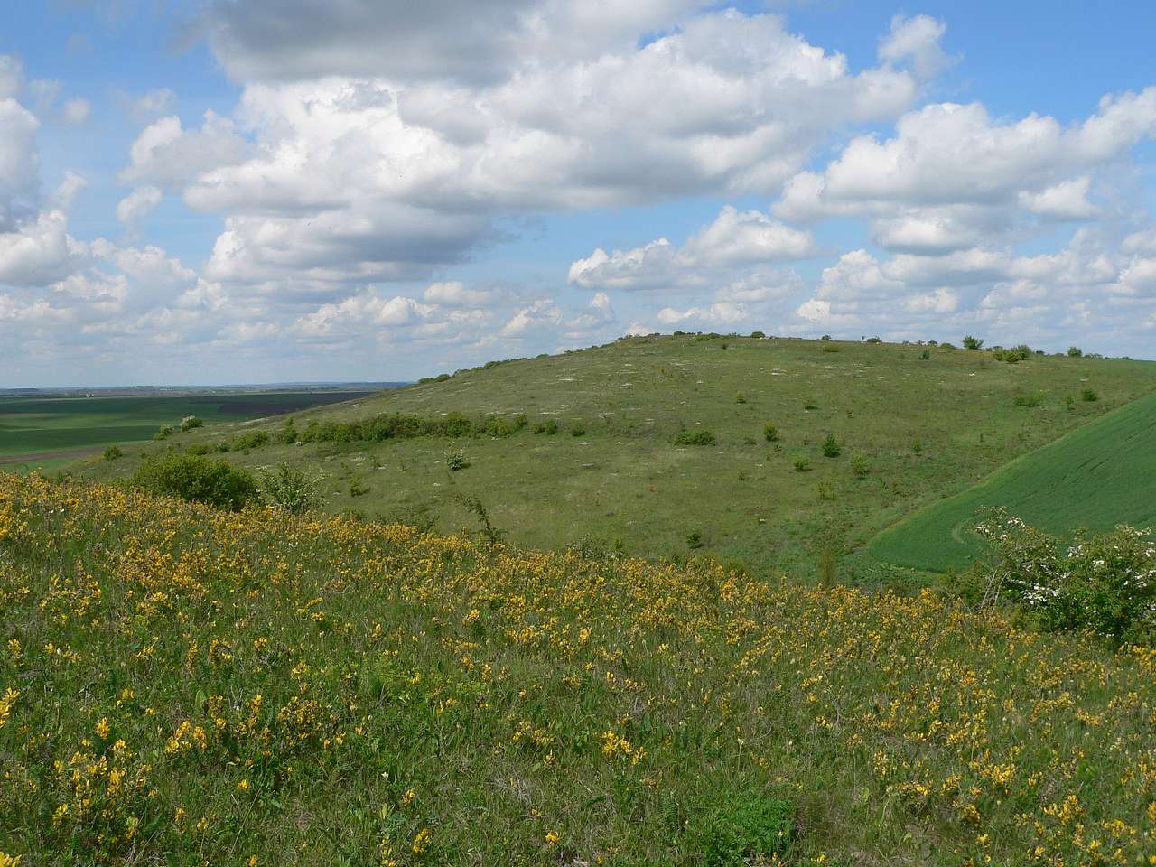 природа - Gorodnytsya