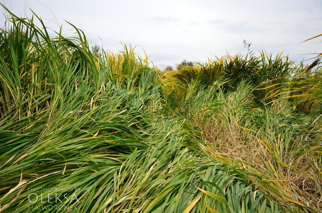 Маяки з panoramio.com - Маяки