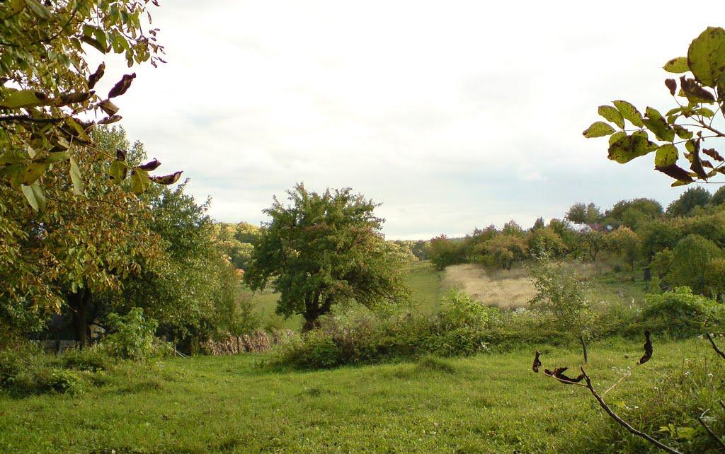 Дуляби з panoramio.com - Дулябы