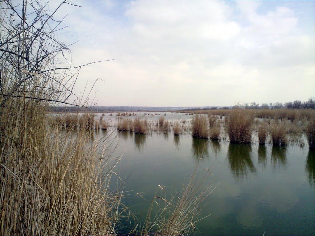 Маяки з panoramio.com - Маяки