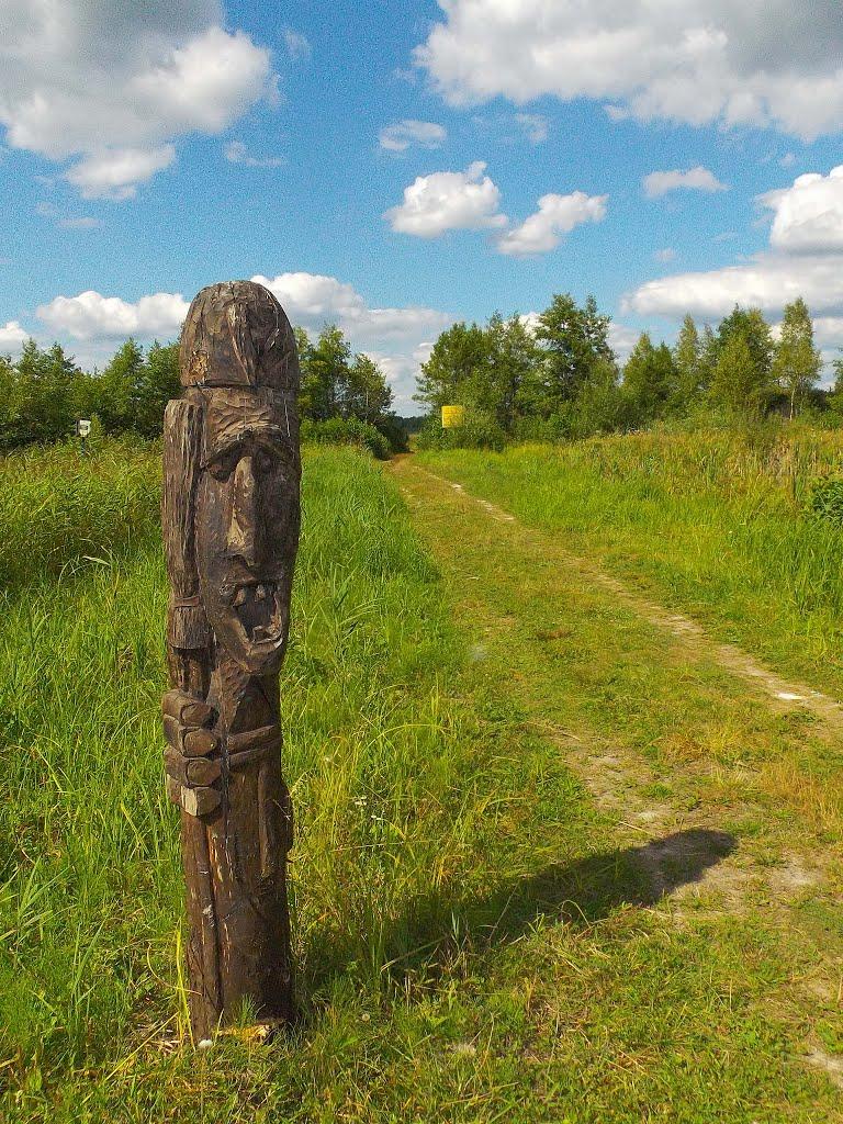 Скулин з panoramio.com - Скулин