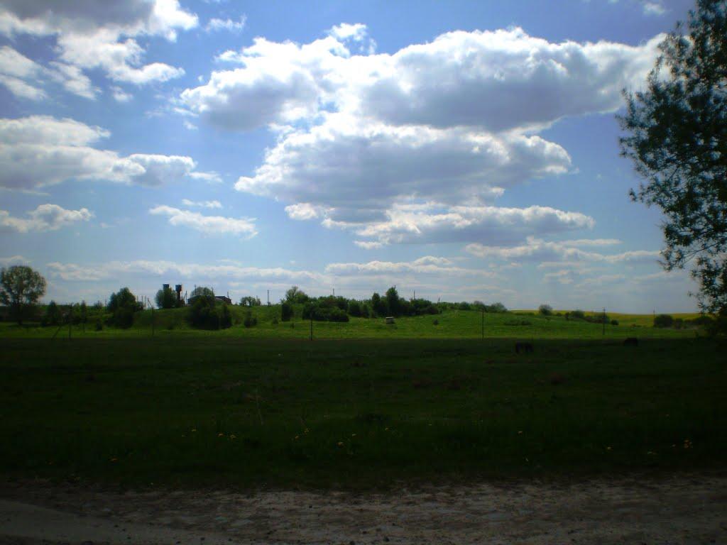 Хорлупи з panoramio.com - Хорлупи