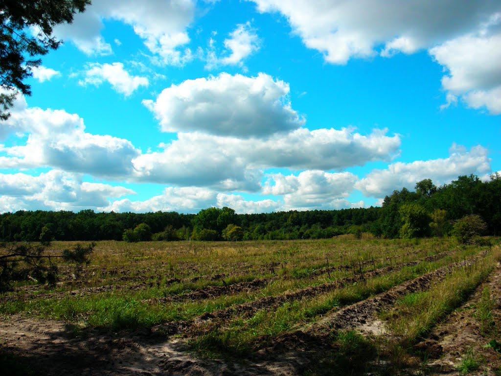 Нижні Яреськи з panoramio.com - Нижні Яреськи