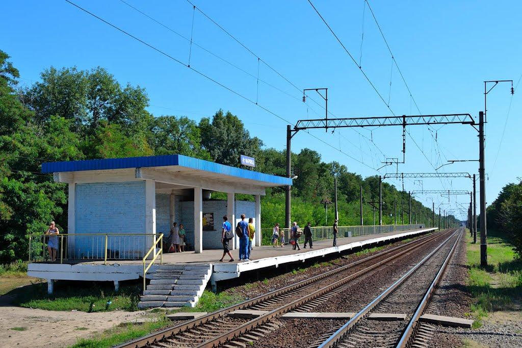 Марківці з panoramio.com - Марковцы