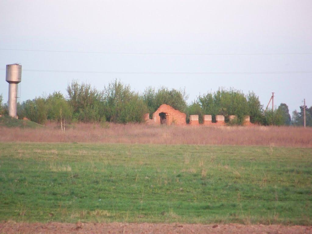 Чернацьке з panoramio.com - Чернацкое