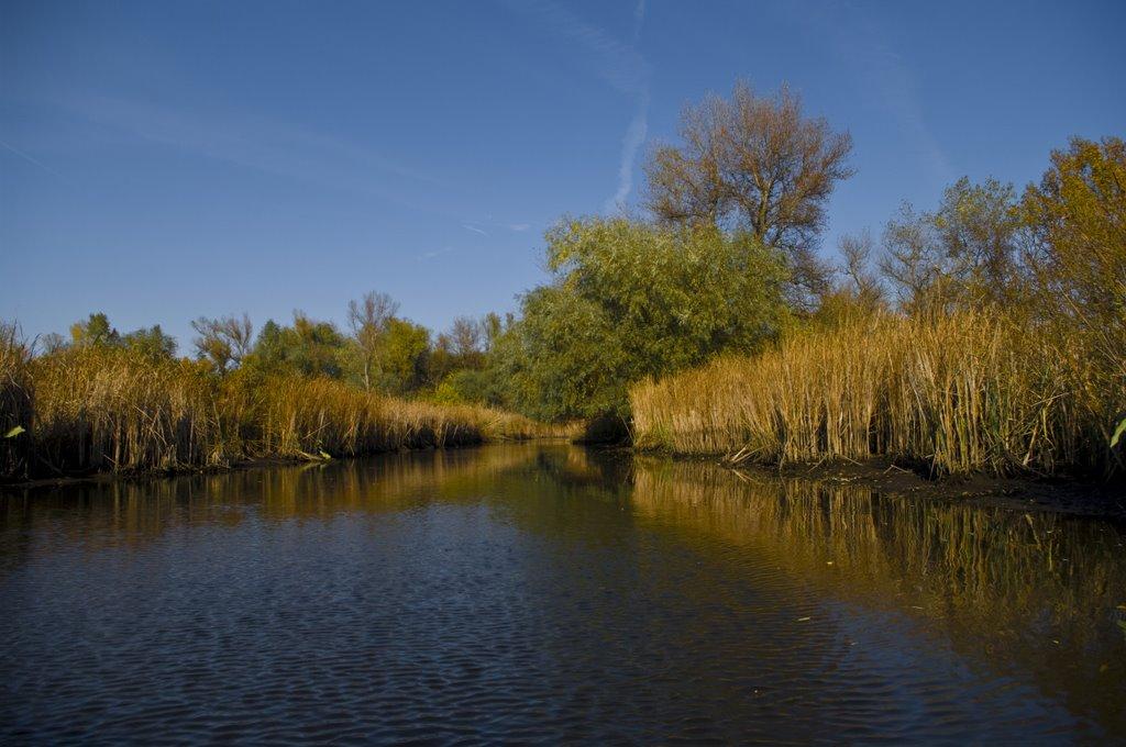 Канівське з panoramio.com - Каневское
