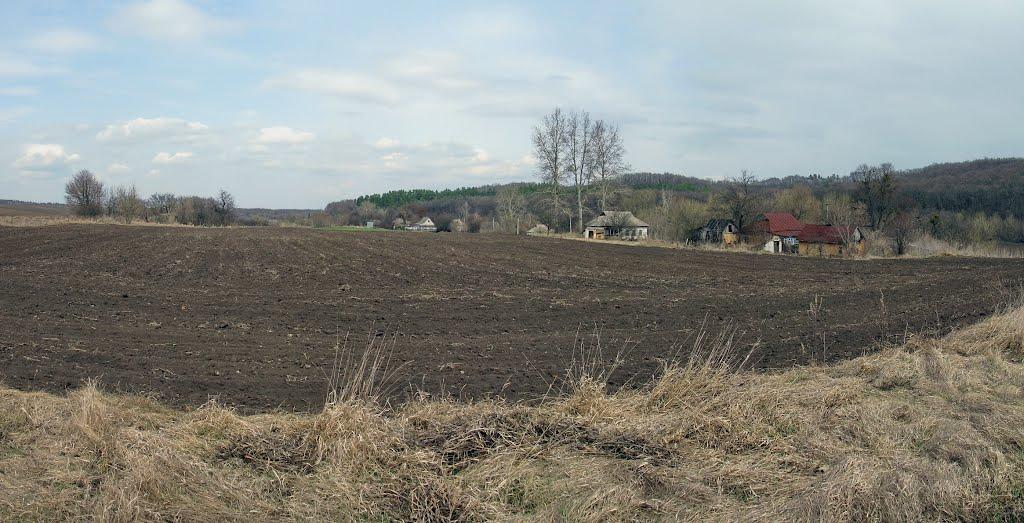 Тимошівка з panoramio.com - Тимошівка