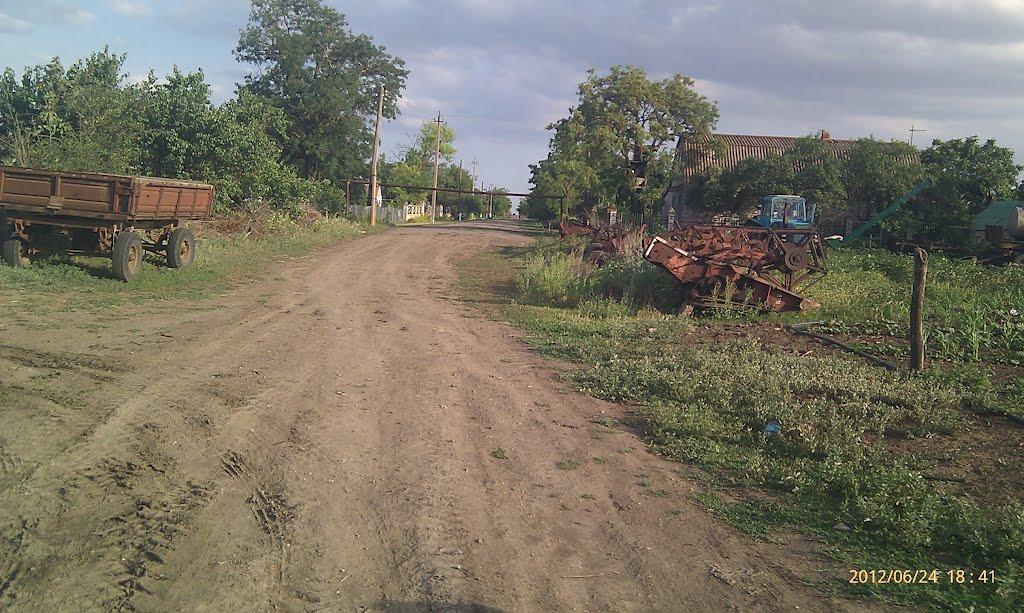 Новомиколаївка з panoramio.com - Новомиколаївка