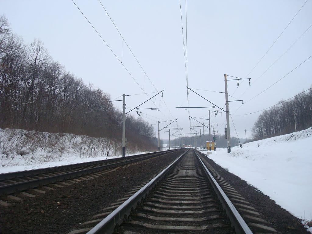 Богданівці з panoramio.com - Bogdanivtsi