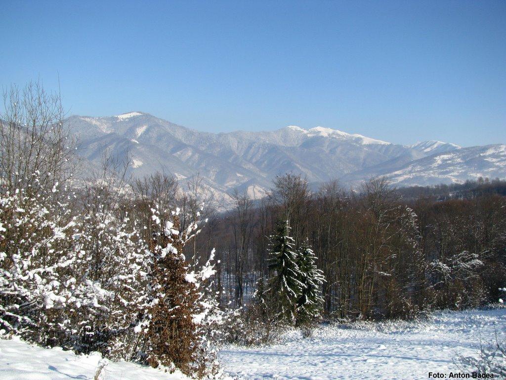 Хмелів з panoramio.com - Хмелів