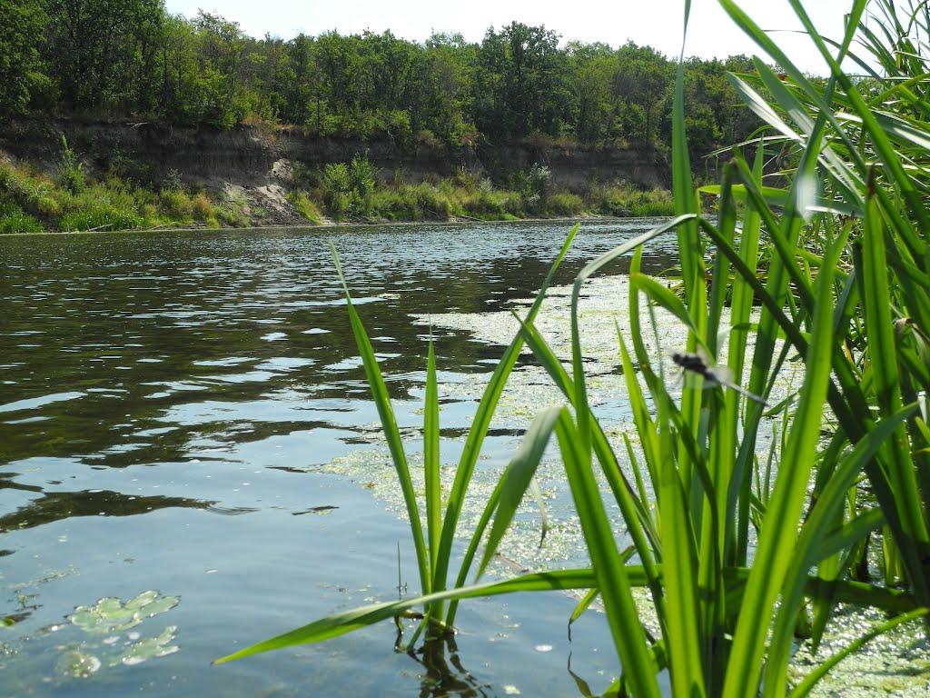 Пархоменко з panoramio.com - Пархоменко