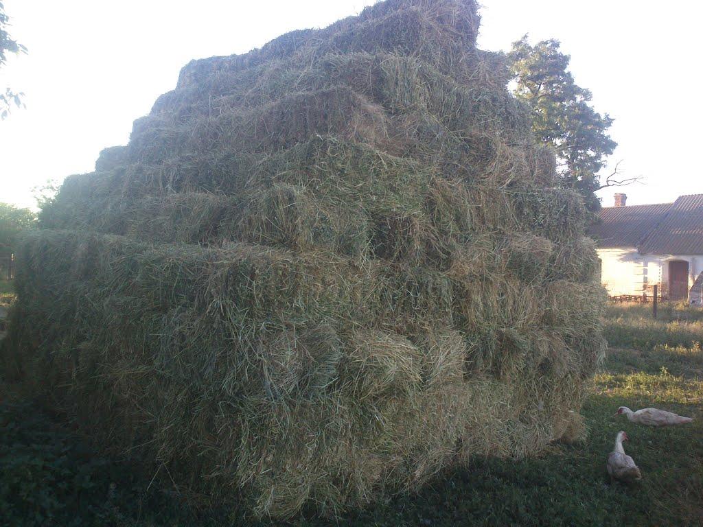 Вячеславка з panoramio.com - Вячеславка