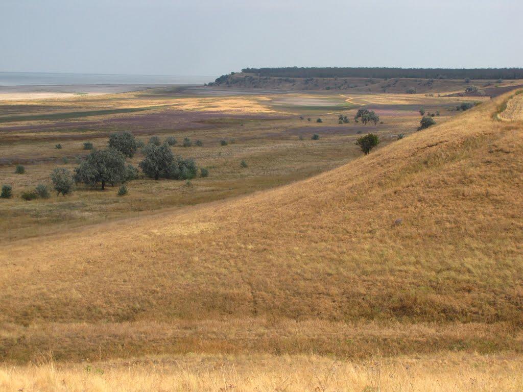 Шелюги з panoramio.com - Шелюги