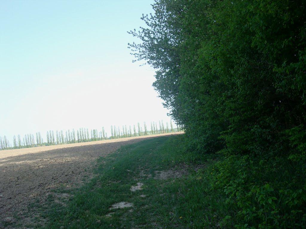 Маціорськ з panoramio.com - Маціорськ